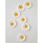 White and yellow flower wax seals